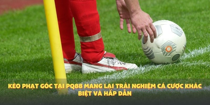 Kèo phạt góc tại PQ88 mang lại trải nghiệm cá cược khác biệt và hấp dẫn.