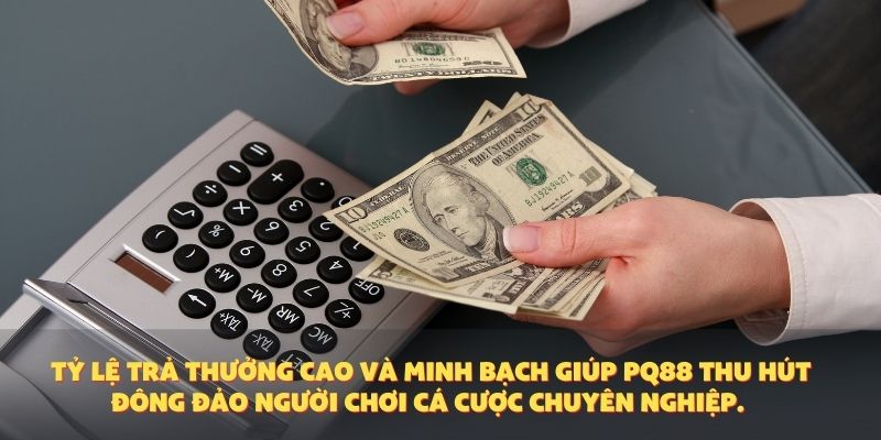 Tỷ lệ trả thưởng cao và minh bạch giúp PQ88 thu hút đông đảo người chơi cá cược chuyên nghiệp.