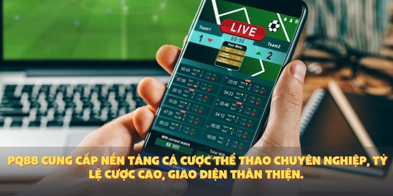 PQ88 cung cấp nền tảng cá cược thể thao chuyên nghiệp, tỷ lệ cược cao, giao diện thân thiện.